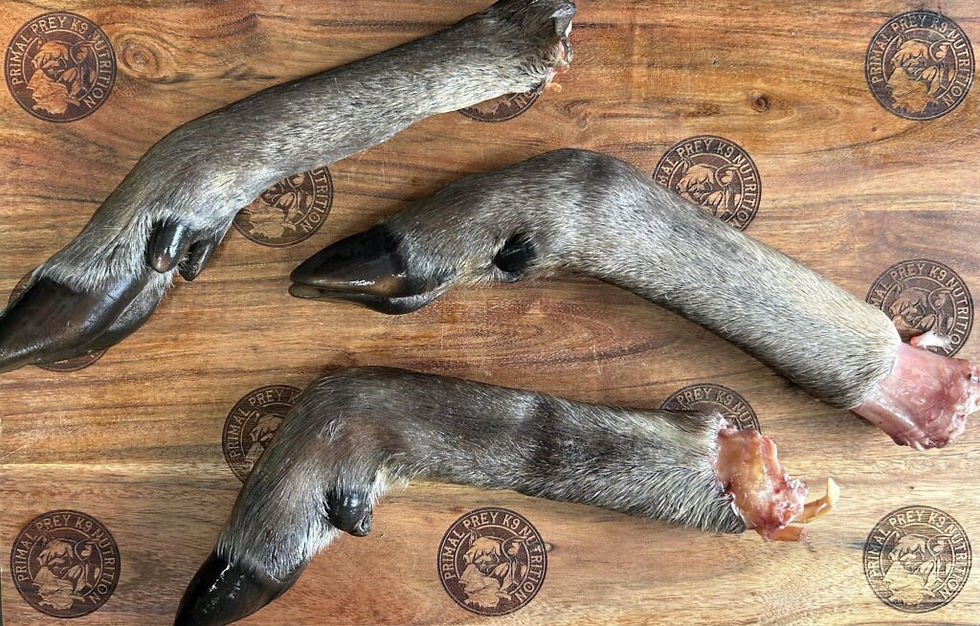 Raw Deer Hooves