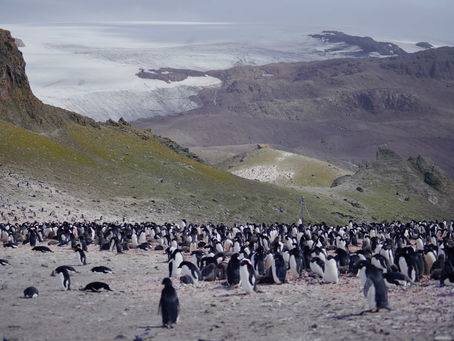 Journal de bord semaine 12 - Premiers jours en Antarctique - Du lundi 20 au dimanche 26 décembre