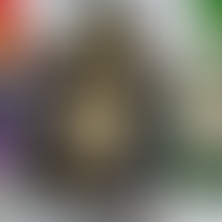 On The Wall Distillery Wins The Gin Guide Award in Cocktail Category!