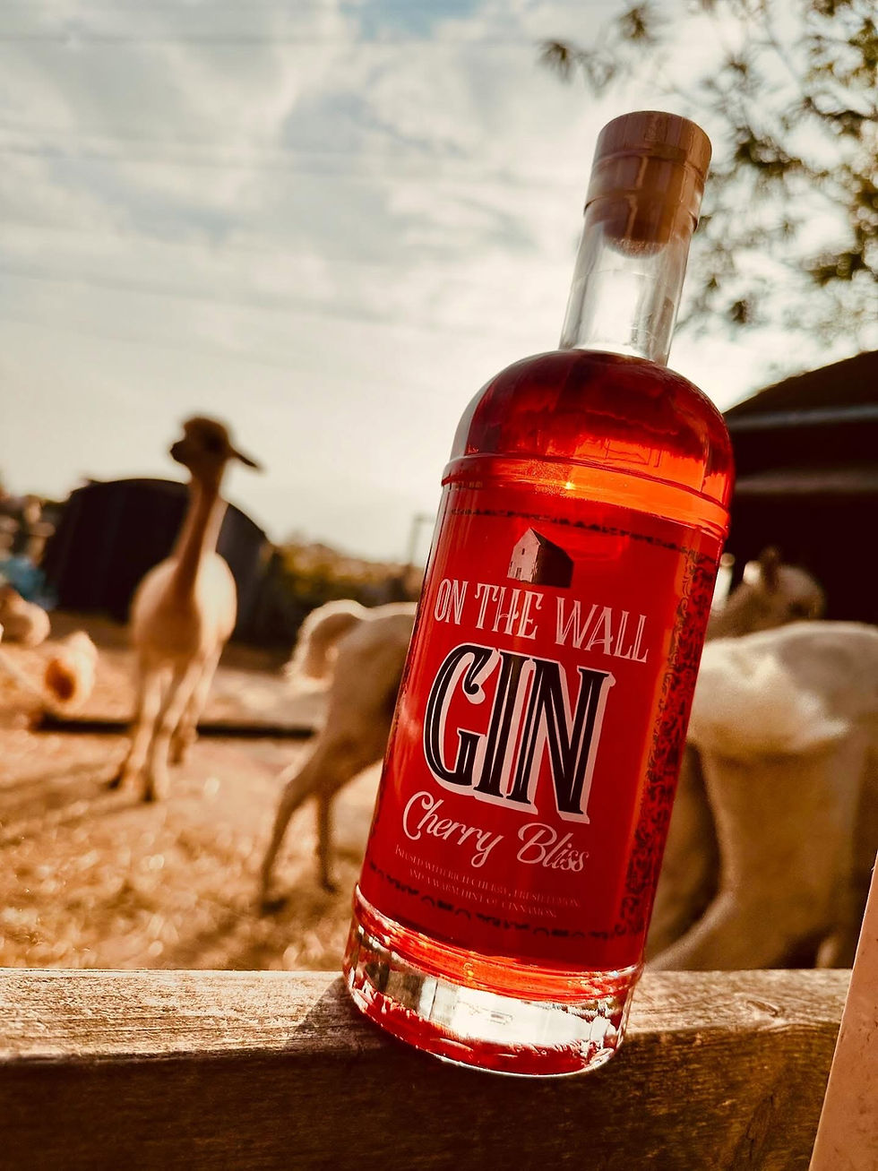 Thumbnail: Cherry Bliss - On The Wall Distillery - 70cl
