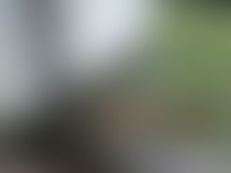 Moisture: The Silent Destructor of Homes