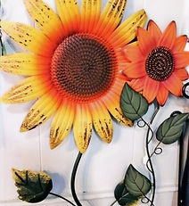 Sunflowers Galore!!!