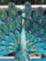 Pretty peacocks
