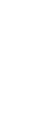 asset1.png