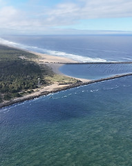 An aerial view of where the forest and land meet the sea, the ocean is blue and turqoise