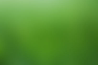 Fertilizer Benefits for Sports Fields