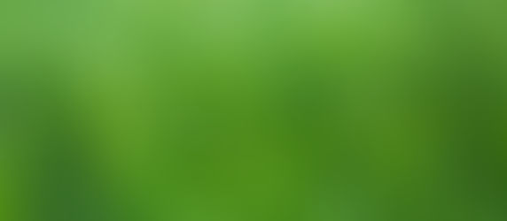 Das berühmte Gras auf der anderen Seite