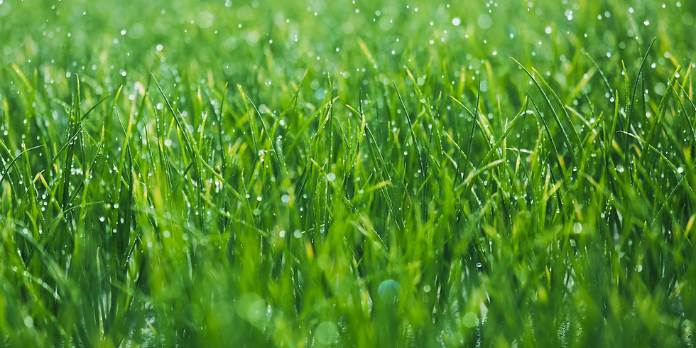 Create Your Own Grass Head