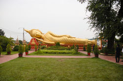 IMG_7214.jpg