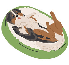 Copy of Julia's Orange Blossom Brand Board for Playing (3)_edited.jpg