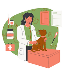 Copy of Julia's Orange Blossom Brand Board for Playing (3).png