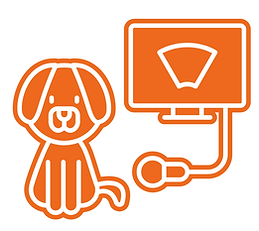 Copy of Julia's Orange Blossom Brand Board for Playing (2).png