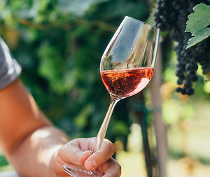 Cata de vinos