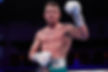 Boxer.