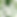 Tropical Leaves
