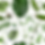 Tropical Leaves