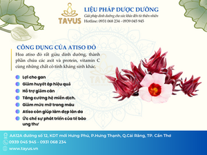 MỨT BỤP GIẤM – VIỆN TAYUS