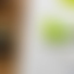 “Greenwashing”: Um paralelo com o Imposto Seletivo