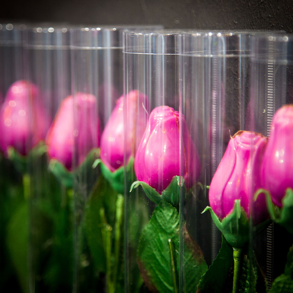 Chocolate Roses | © Chocolates & Happiness