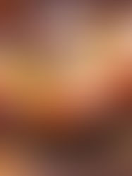 Arti Loyalty - indisk mat