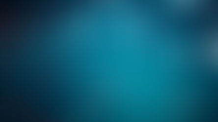 DAO Examples: 4 Stories of Collective Success