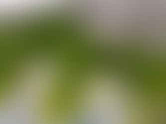 Second Week: Overlanding Europe