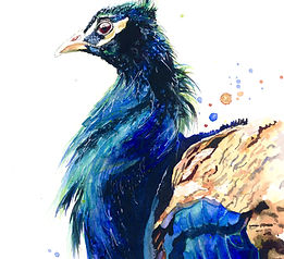 Peacock finished (1).jpg