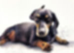 Rudolf (1).jpg