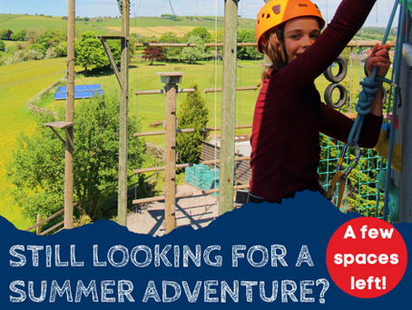 Last Minute Availability 2025
