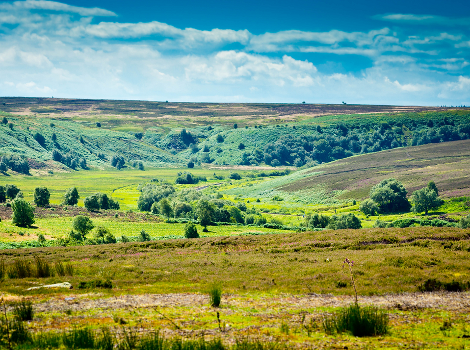 Yorkshire Dales View