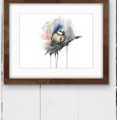 Blue Tit | Sarah Stokes Artist