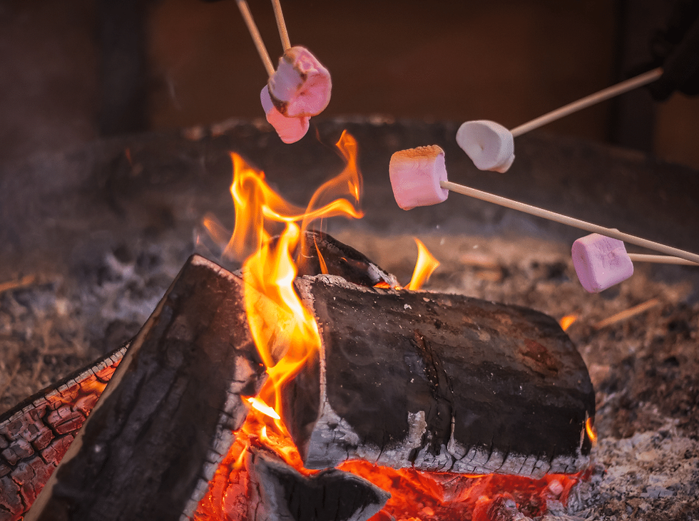 Campfire Nights