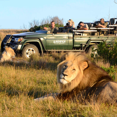 New - South Africa Art Safari Coming Soon!