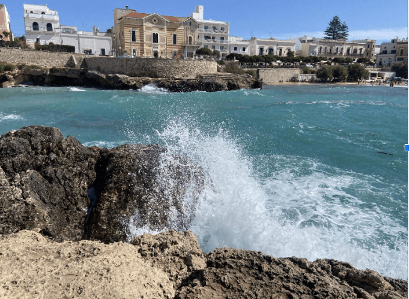 Screenshot 2023-10-20 155647 (1).png