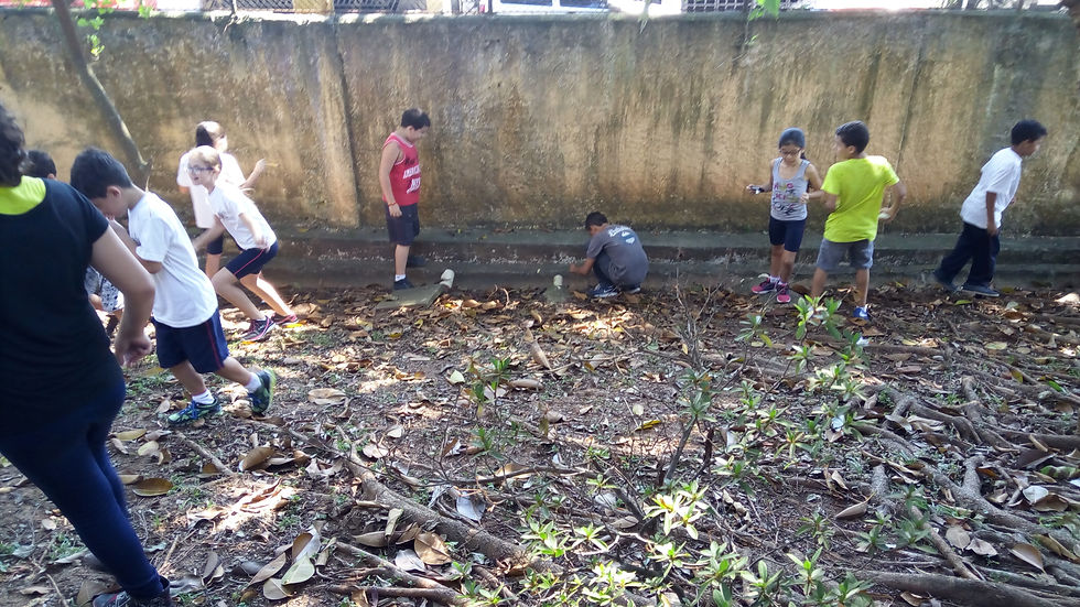 Cópia_de_IMG_20160415_103816
