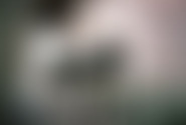 Z世代的小黑、Nikkor Z 70-200mm f/2.8 VR S