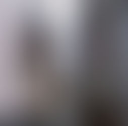 我城 · 圍城、衙前圍村的最後歲月