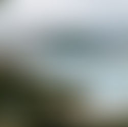 初夏、北角散策。