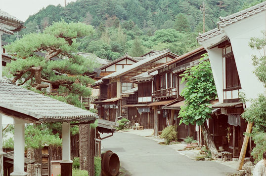 日光下的清雅、Kodak Vision 3 250D