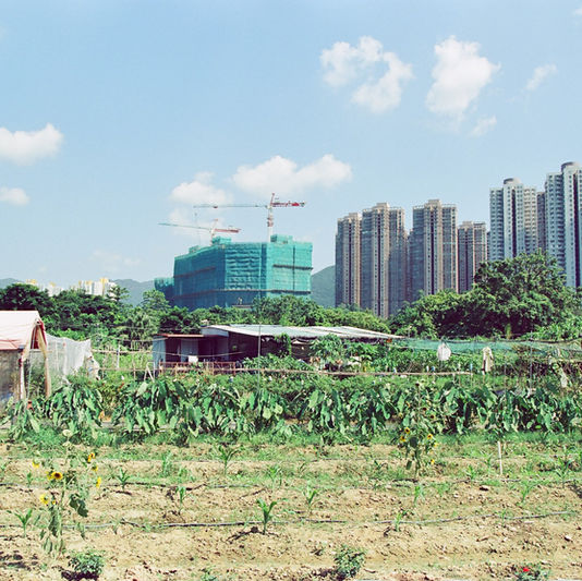蛻變為城市之前、粉嶺北．馬屎埔攝影札記