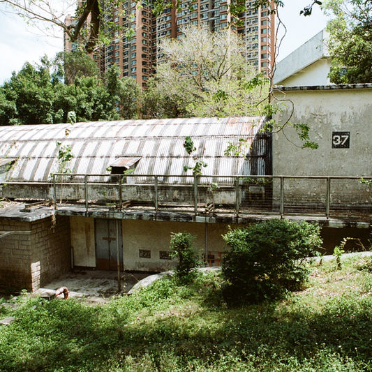 蛻變為樓宇之前、掃管笏前寶隆軍營