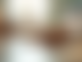 How to Maintain a Pet-Friendly Home with Clean Floors