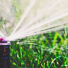 Water Sprinkler_edited_edited.jpg