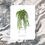 Thumbnail: String of Turtles Greeting Card