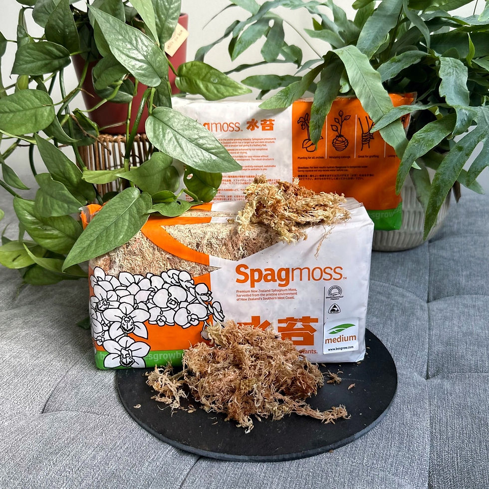 NZ Sphagnum Moss (Besgrow)