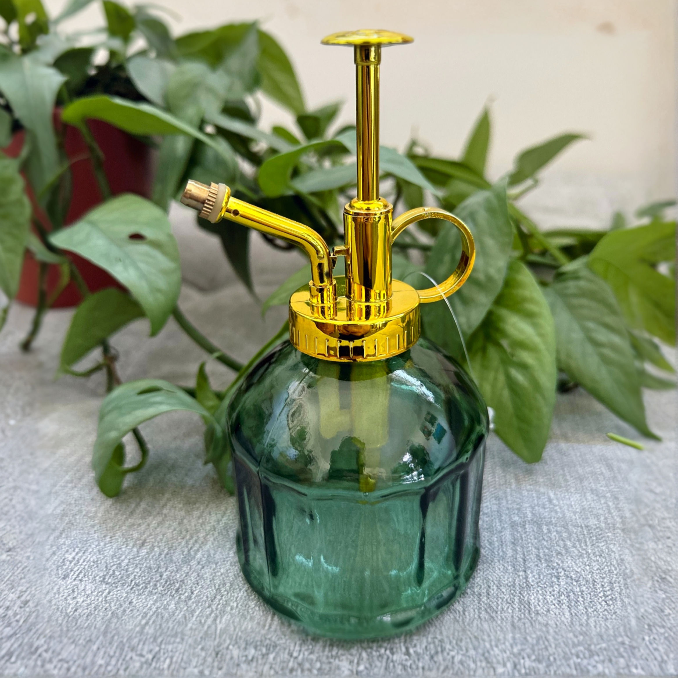 Classic Plant Mister - Green