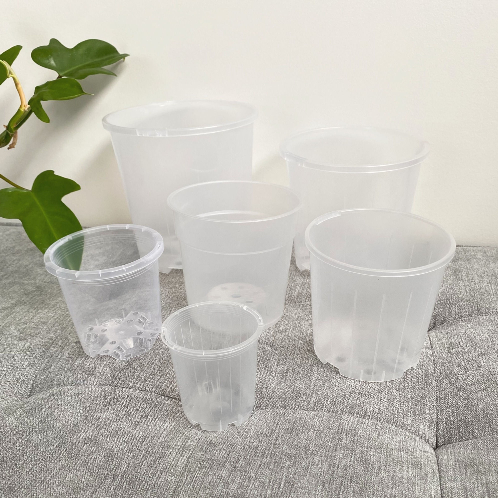Clear Nursery Pot Sample Set
