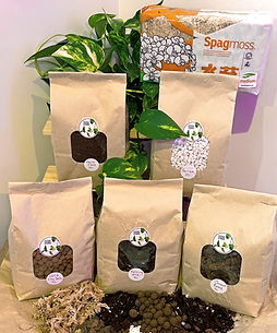 Shop plant growing media and substrates