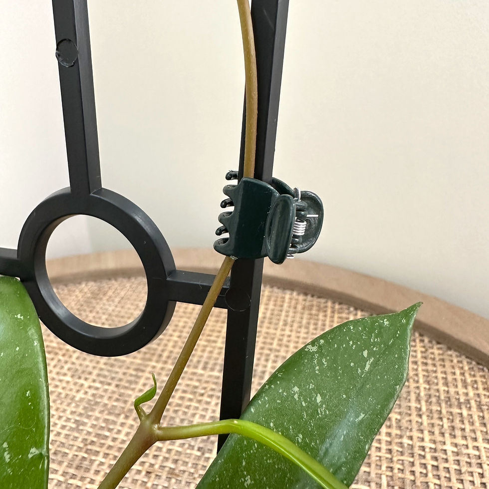 Thumbnail: Plant Support Butterfly Clips