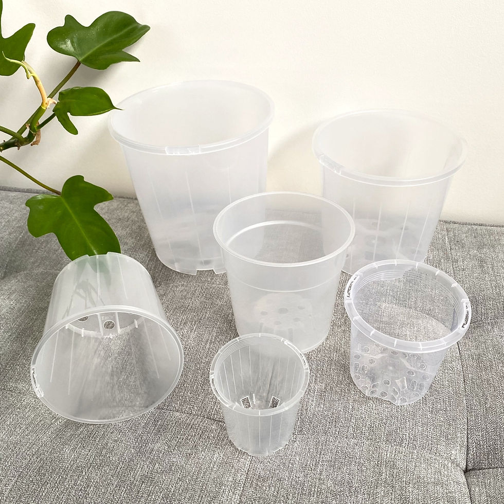 Thumbnail: Clear Nursery Pot Sample Set